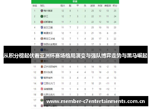 从积分榜起伏看亚洲杯赛场格局演变与强队博弈走势与黑马崛起
