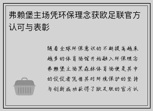弗赖堡主场凭环保理念获欧足联官方认可与表彰